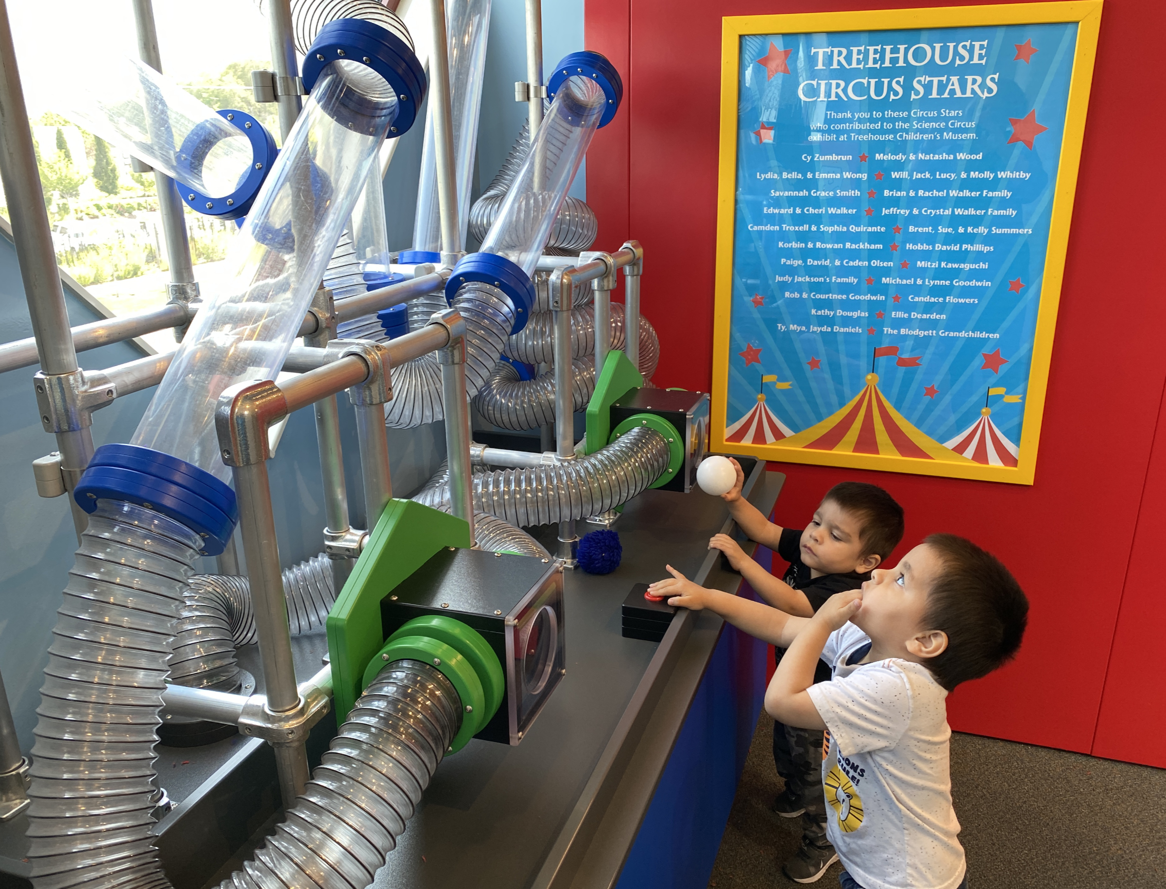 kids and balltubes